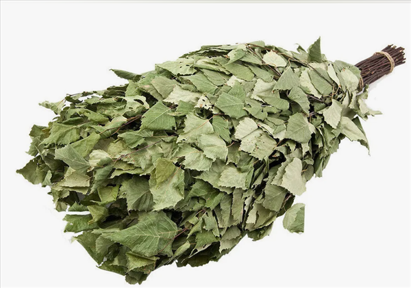 Банный веник Береза