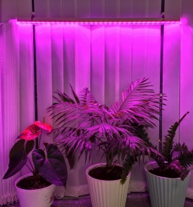 Светильник LED General ФИТО для растений 18W 23мкмоль/с,1200мм,оранж.спектр, для цветения