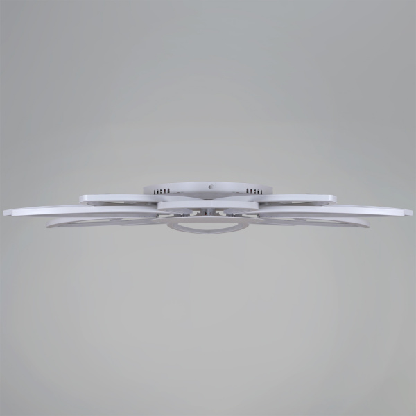 ЦБ-00054731-5