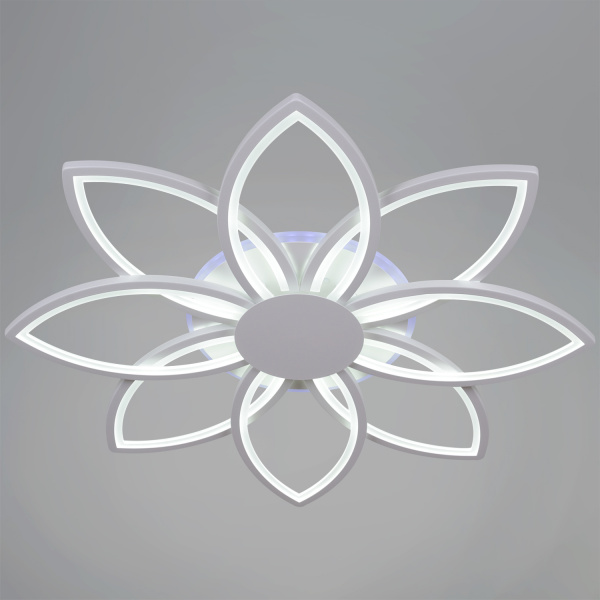 ЦБ-00054730-3