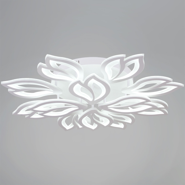 ЦБ-00055238-2