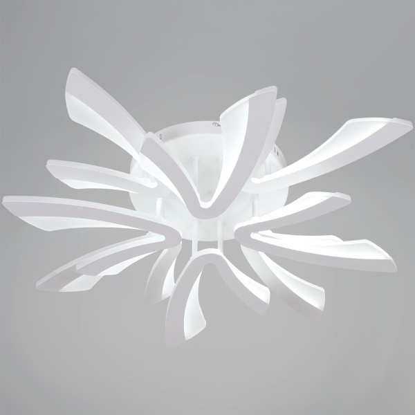 ЦБ-00054736-3