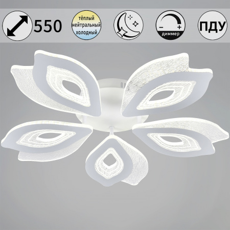 ЦБ-00055232