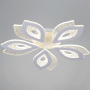 ЦБ-00055232-1